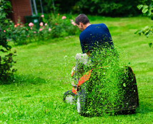 Lawn mowing